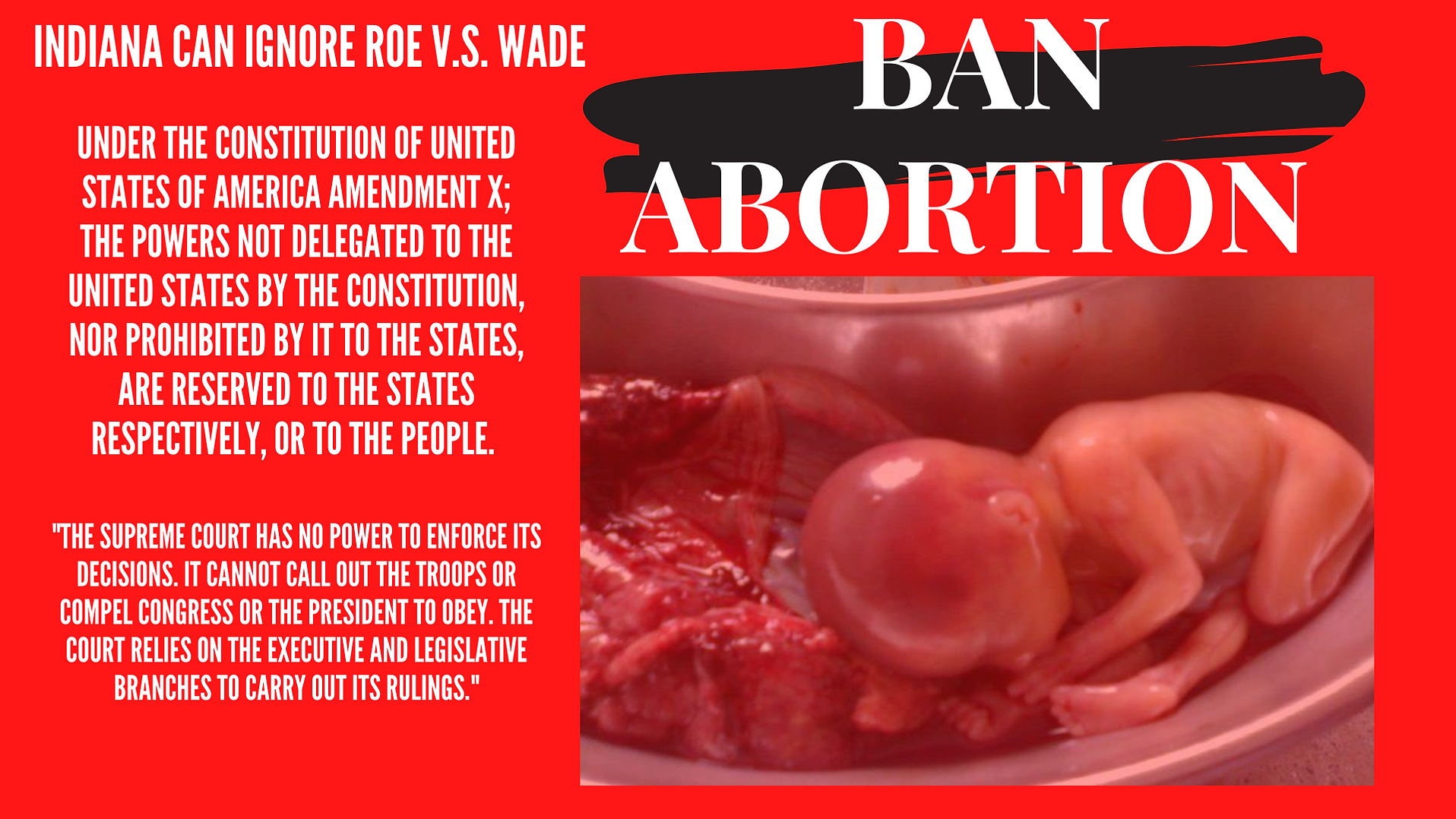 Ban Abortion.png