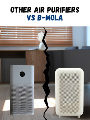 Looking Beyond Ordinary Air Purification: The b-MOLA Advantage