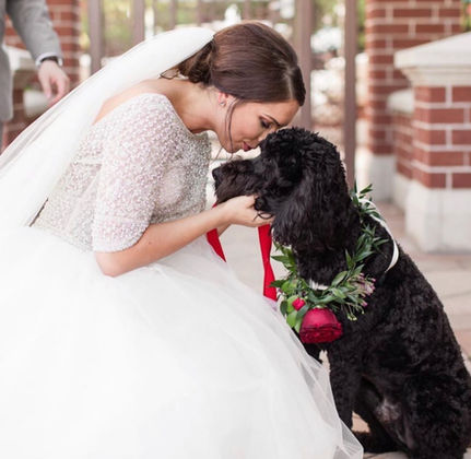 Photo Oct 12, 7 05 10 PM.jpg