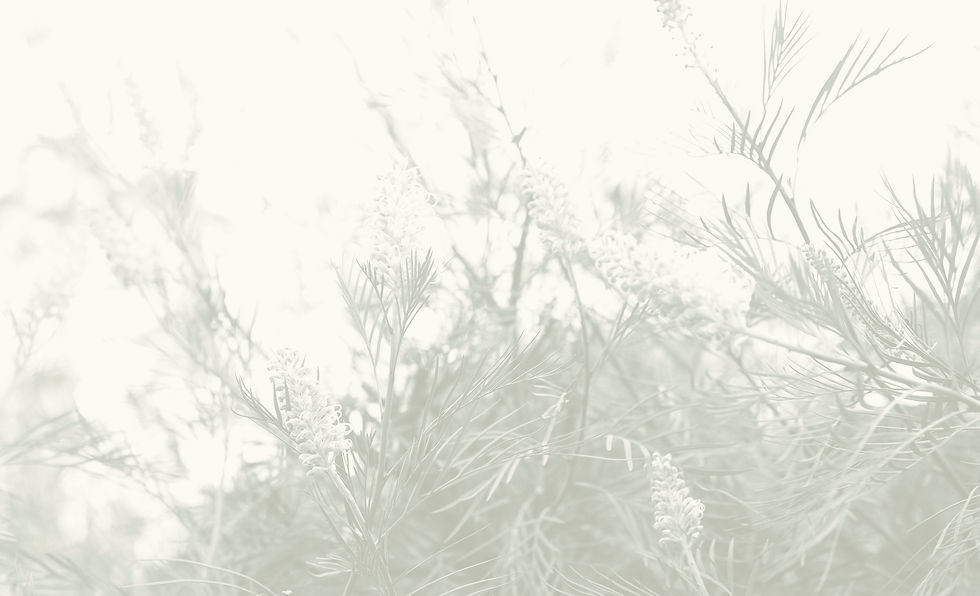 Jonima_Contact & Delivery_Delivery Background.jpg