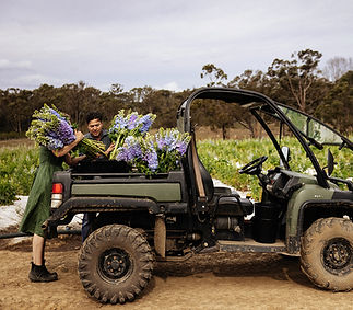 Jonima_HP_Life On the Farm Image 3.jpg