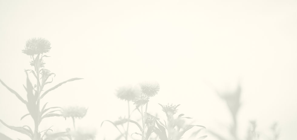 Jonima_HP_Where Our Flowers Go Image.jpg