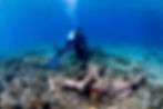 Try Dive