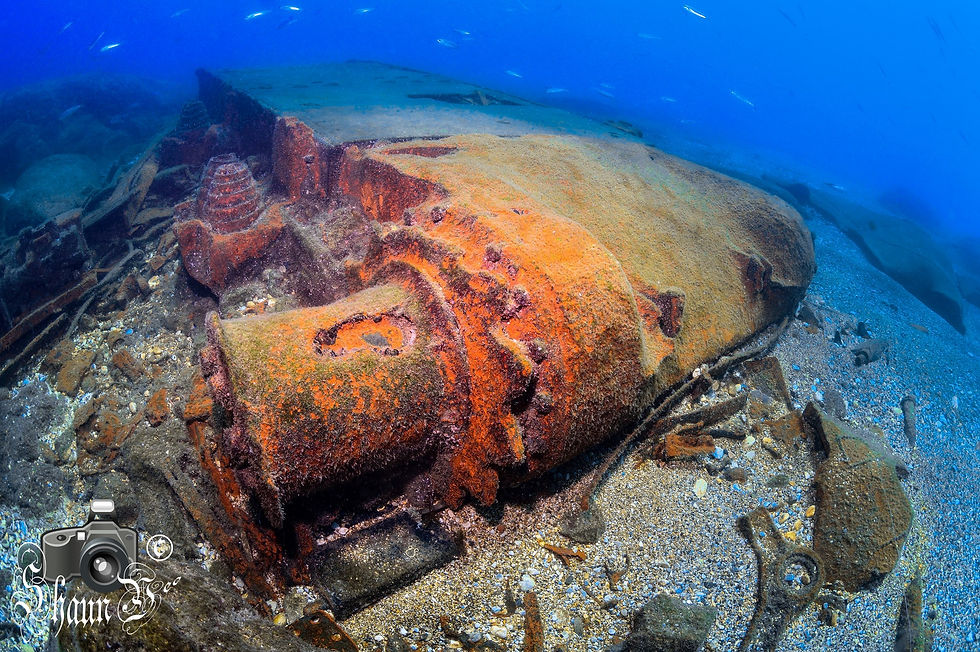 Sherman Tanks