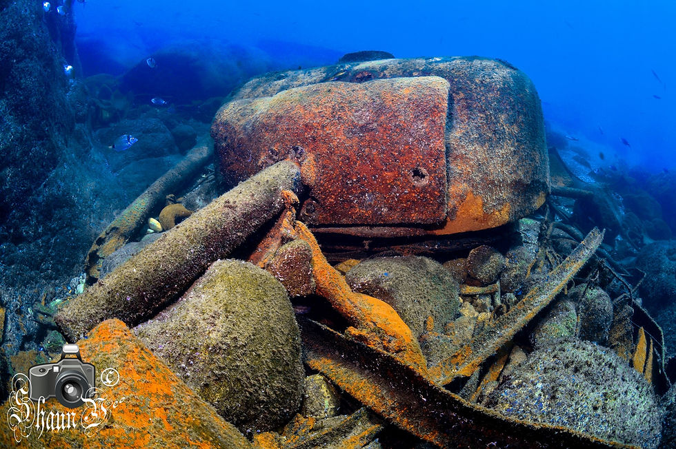 Sherman Tanks
