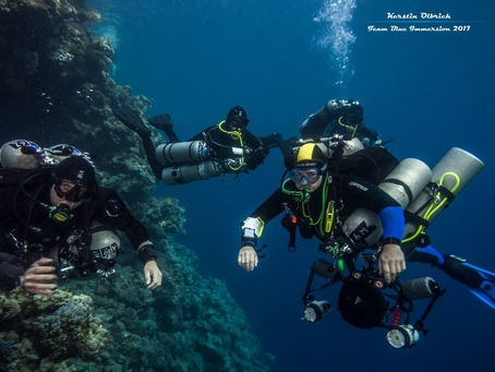 "The World Deadliest Dive Site!"