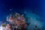 Technical Diving