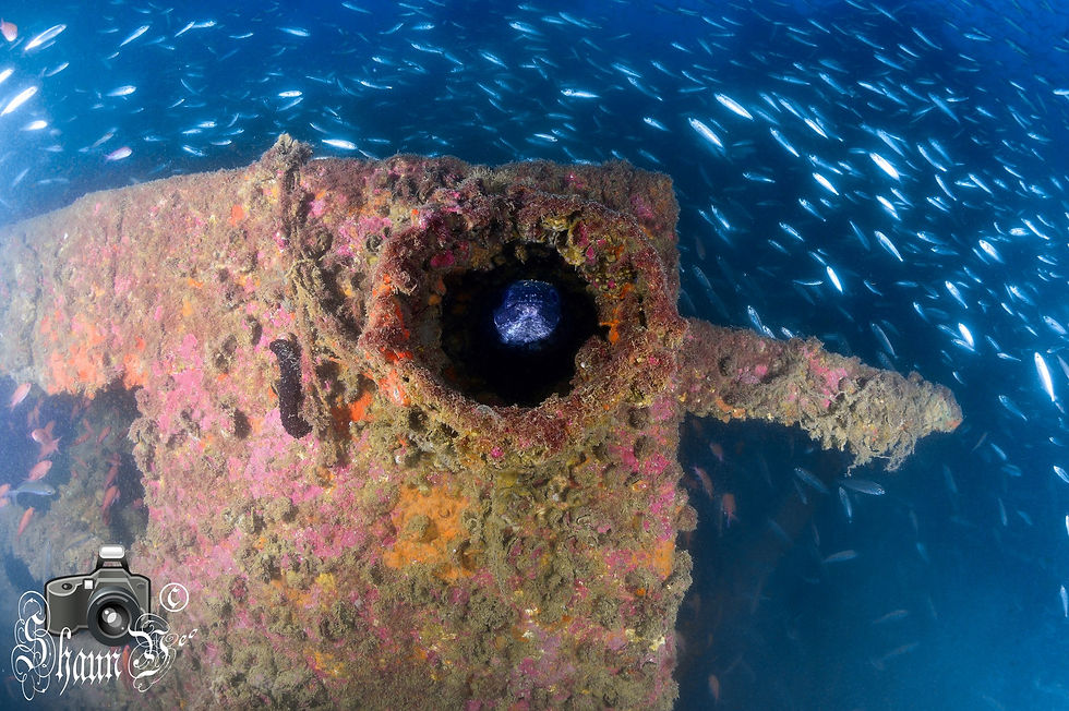 El Carbonero Wreck