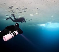 DSC_1184 (Copy)_edited.jpg