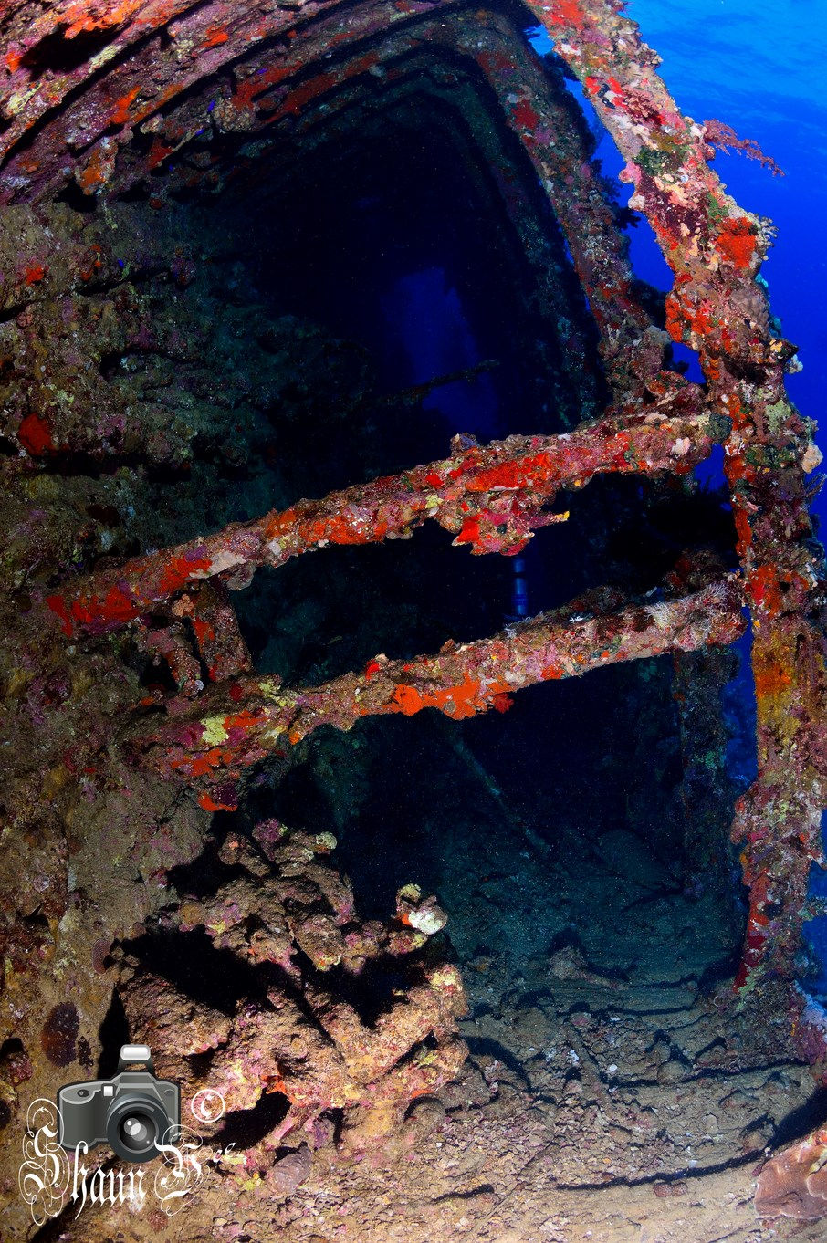 S.S. Carnatic Wreck