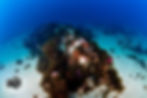 Wreckage in Camp Bay