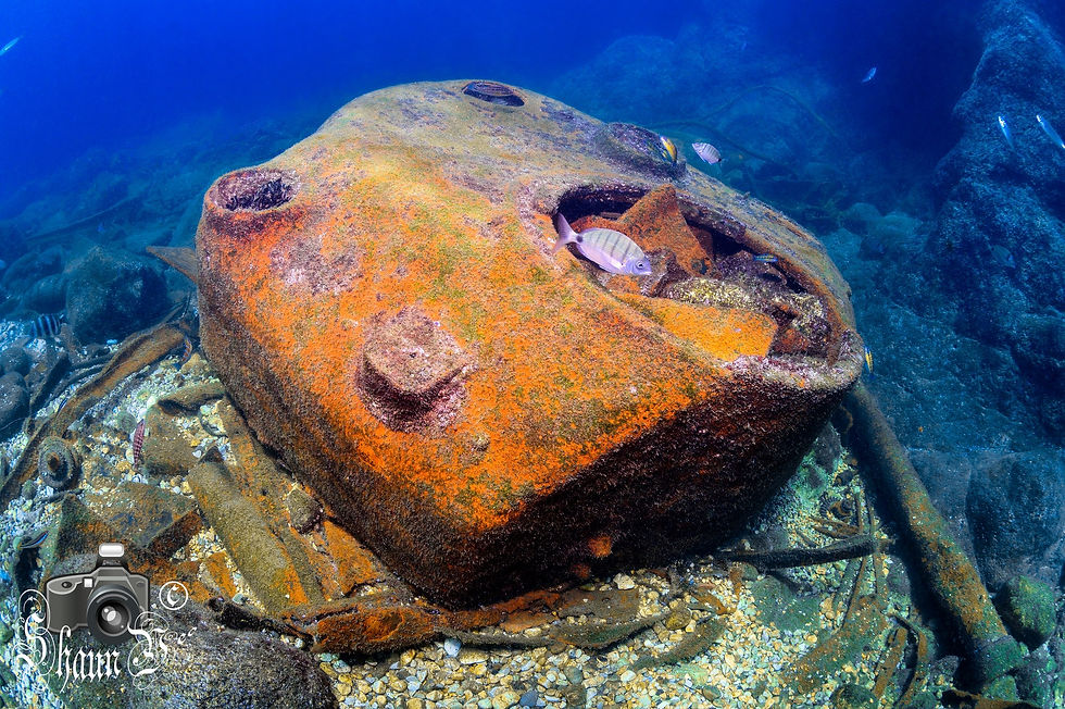 Sherman Tanks
