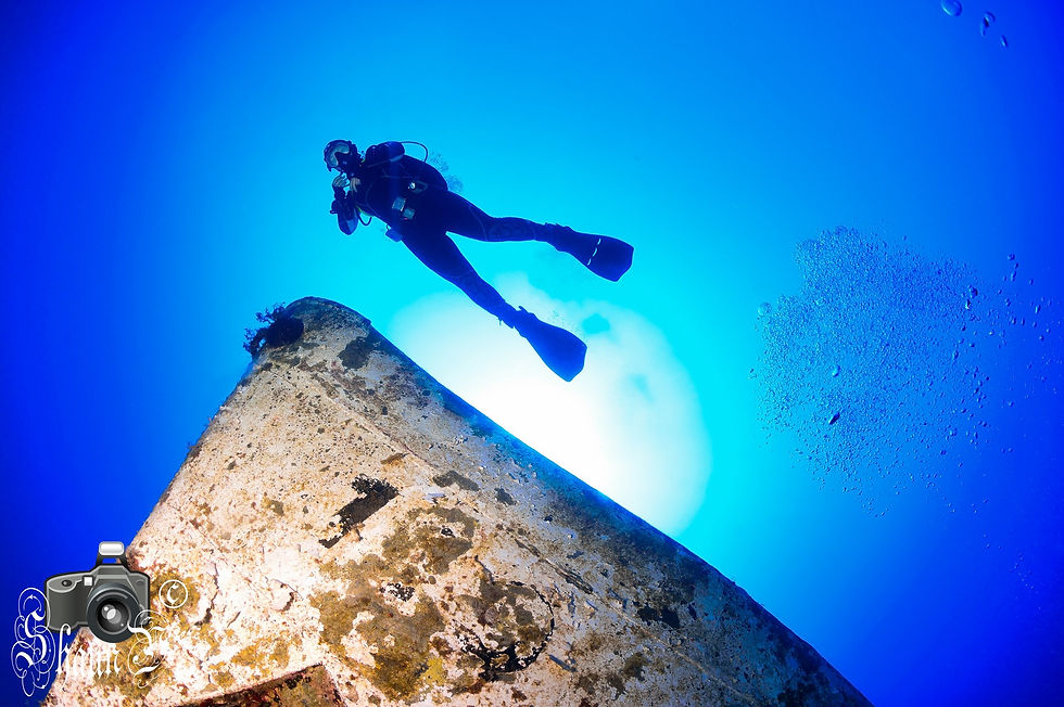 The Coast Guard Wreck
