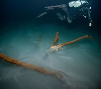 DSC_9877 (Copy)_edited.jpg