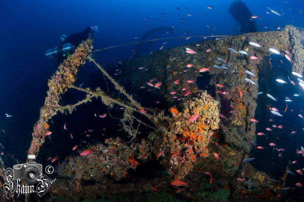 S.S. Stanfield Wreck