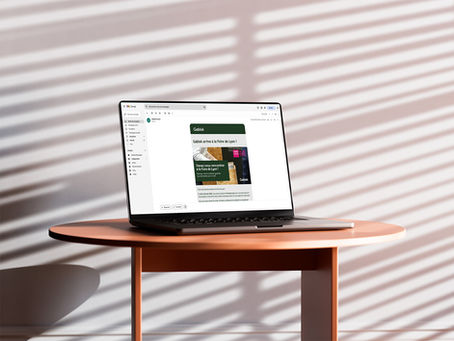 Newsletter à destination du marché français