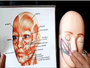 synthetic doll face muscles-page0001_edi