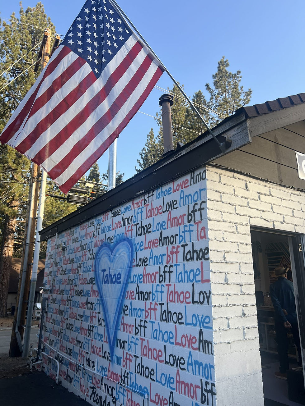 RISK Author Talk at BFF Boutique, South Lake Tahoe