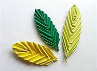 leaves unfold pic 3.jpg