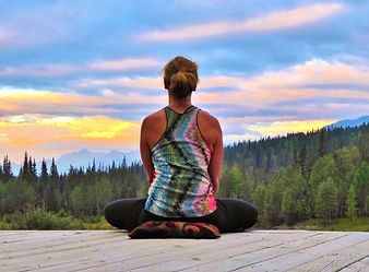 YTT 2017 Aug 21 Solar Eclipse, COE Dogs,