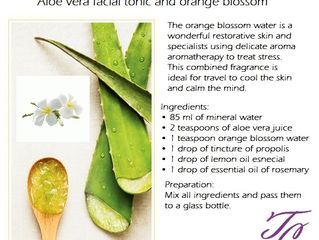 BENEFITS OF ALOE VERA.