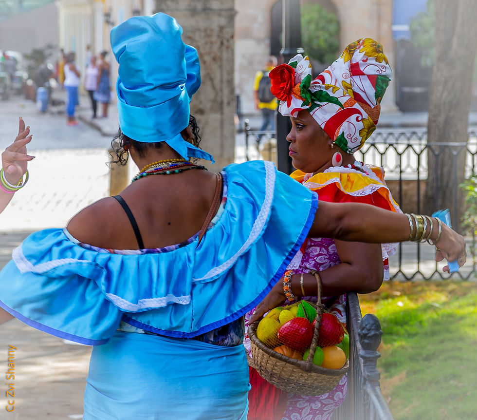 Zvi Shanny-צבי שני -0308