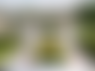 Fincas para bodas en Bizkaia: celebra tu gran día en espacios exclusivos