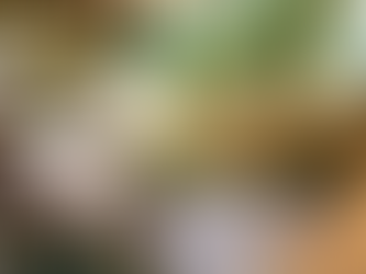 Boda en jardín: todo lo que necesitas saber para un evento único