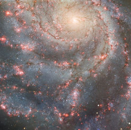 A New Supernova Over the Skies of La Spezia