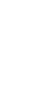 skyleighs logo-8.png