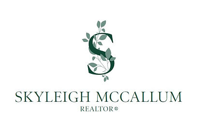 screenshot-skyleighs logo.JPG