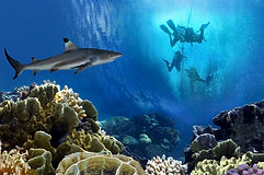 Cuba Travel Adventures Group