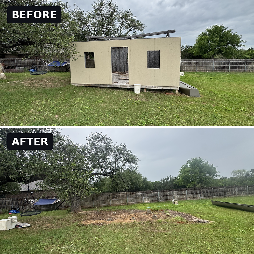 structure_before_after_1000.png