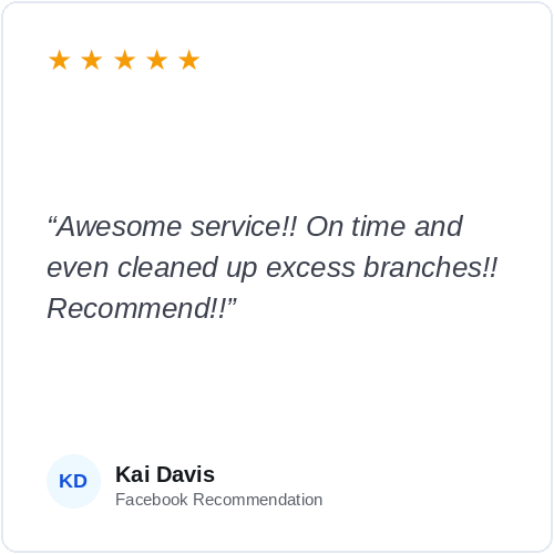 review_05_kai_davis.png
