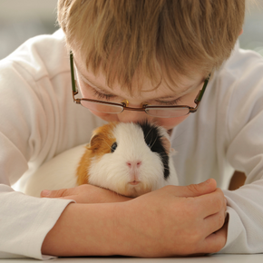 Read Northlands' advice before buying kids a small furry pet