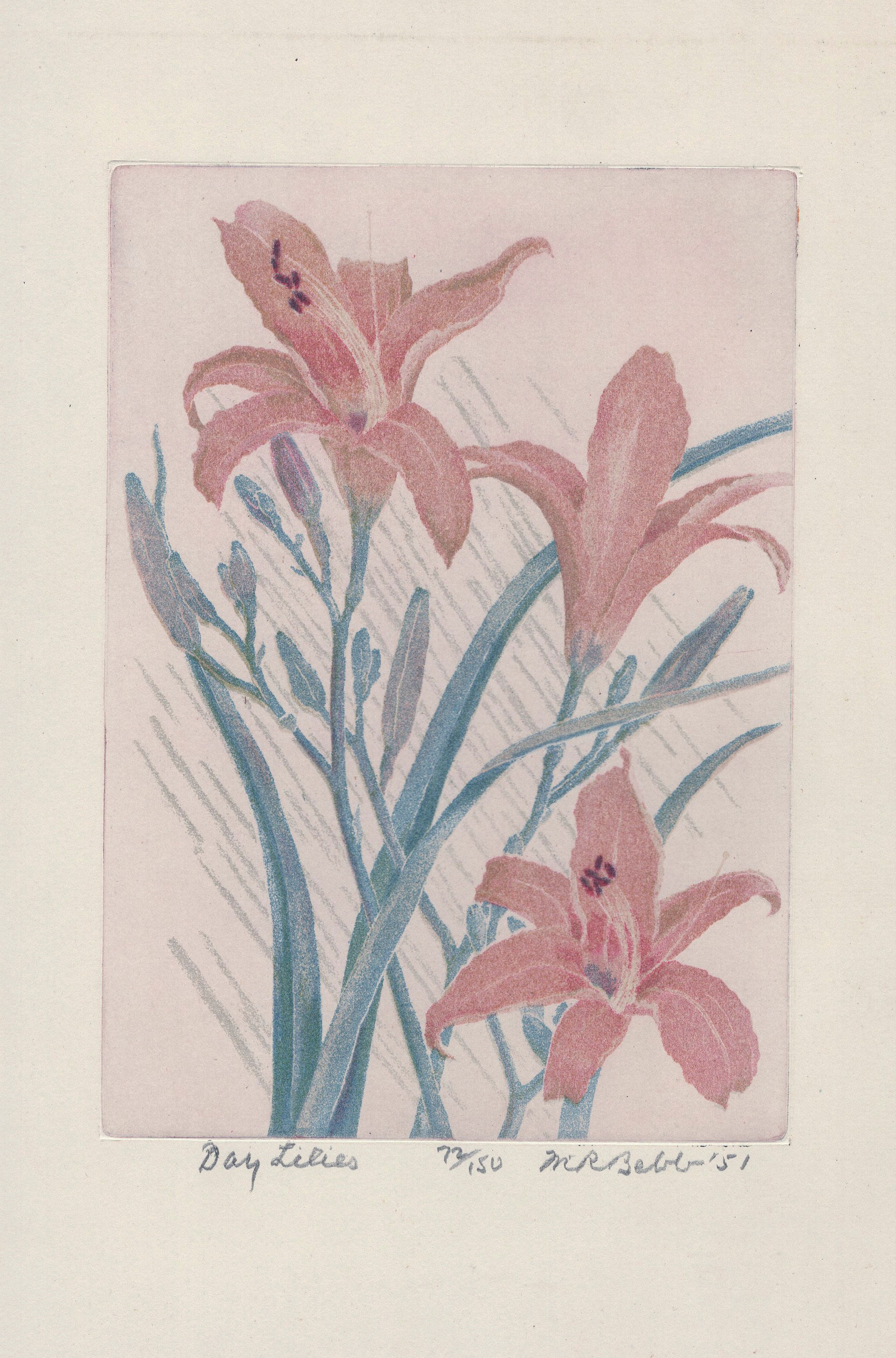 Day Lilies 1951