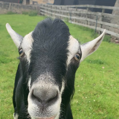 What you looking at!