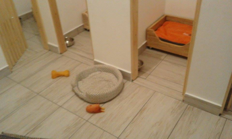 Pansion za pse Banja Luka