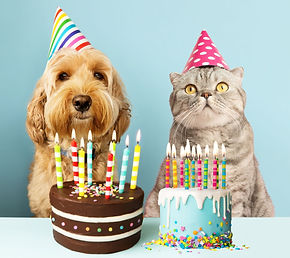 Pet Fact Files Website (2).jpg