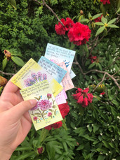 Post Cards for Neighbors