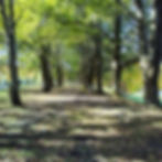 20191009_130823_HDR
