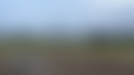 夏季大会（2回戦）結果報告