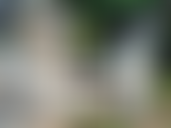 We Put Another Brick In The Wall