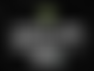 Request for quotation (RFQ) for supply of a dedicated armed response resource to supplement existing shared resources (18/12/2023)