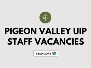 Pigeon Valley UIP Staff Vacancies