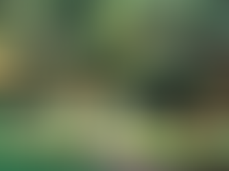 Champions breathe life into Glenwood’s parks