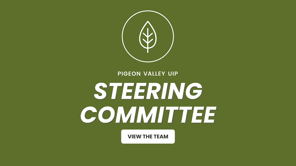 Meet Your Steering Committee