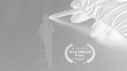 WINNER WILD DREAMS Project 2026