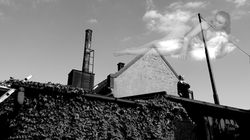 WINNER Focus On The Author – AFM