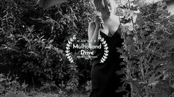 WINNER Mulholland Drive Global Screenwriter Contest 2026